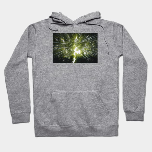 Bamboo Stems Hoodie by withluke